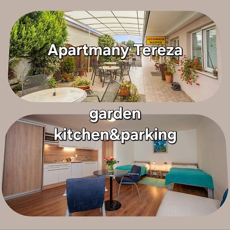 Apartmany Tereza & Free Parking Bratislava Exterior photo
